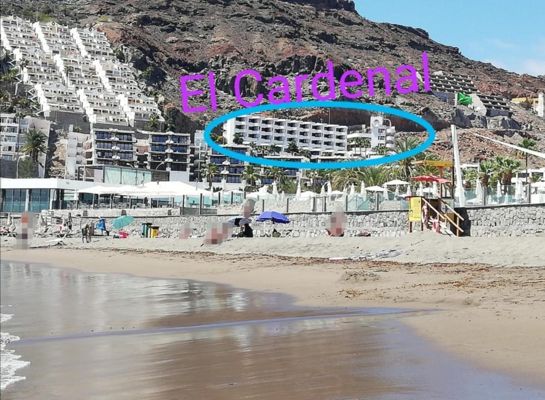 Apartamento El Cardenal Mick&Rosa Playa Del Cura  Exterior foto